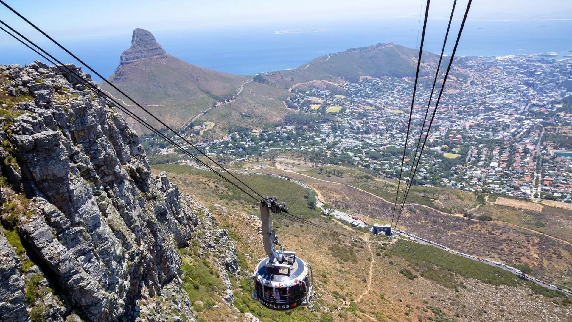 Urban Elephant, The Rose Cape Town