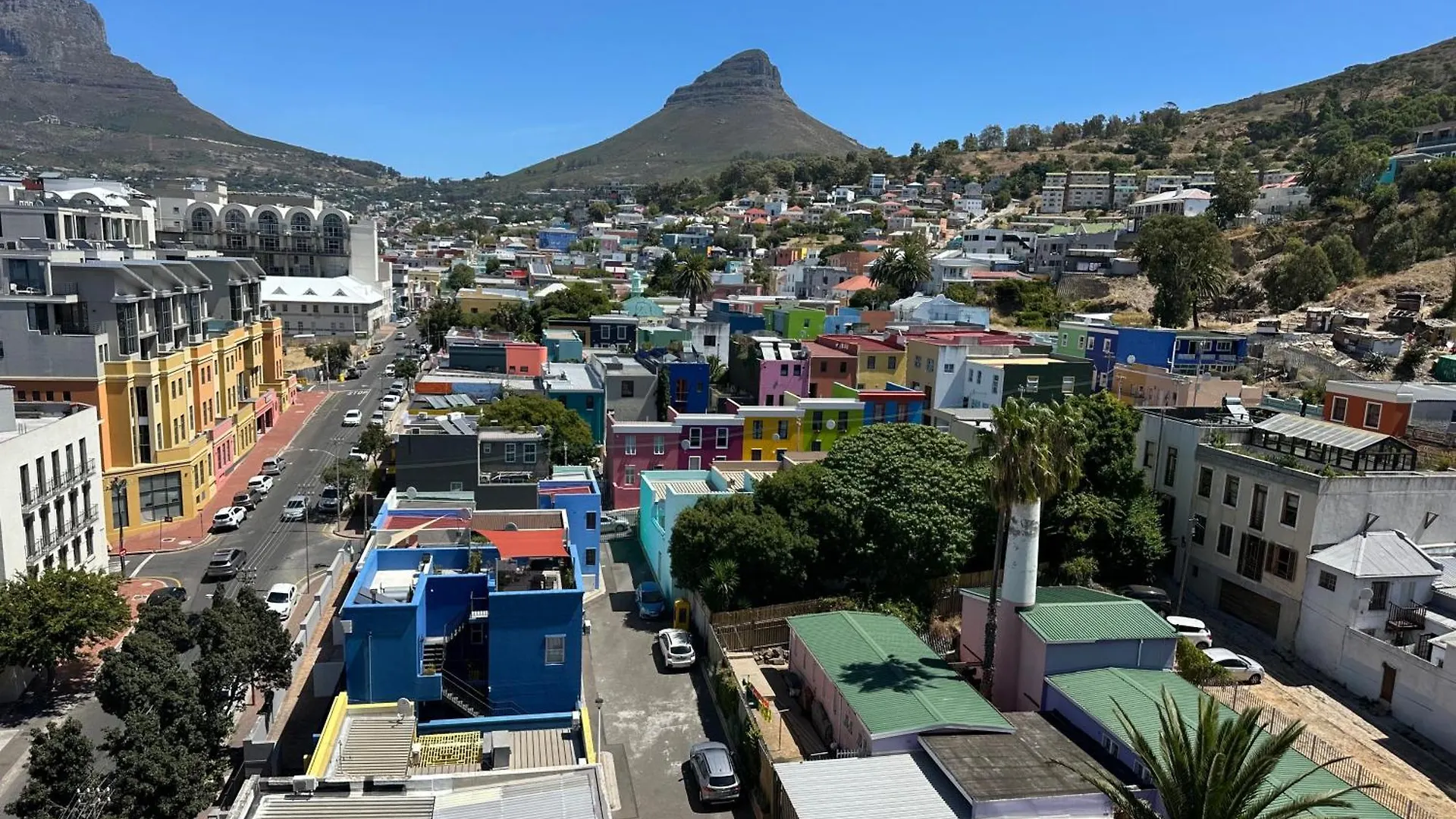 Urban Elephant, The Rose Cape Town South Africa