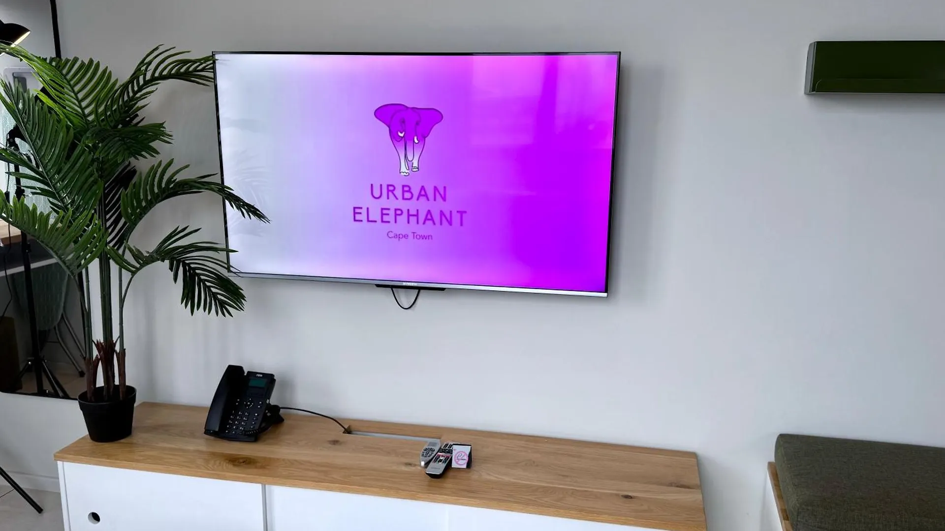 Urban Elephant, The Rose Città del Capo Sudafrica